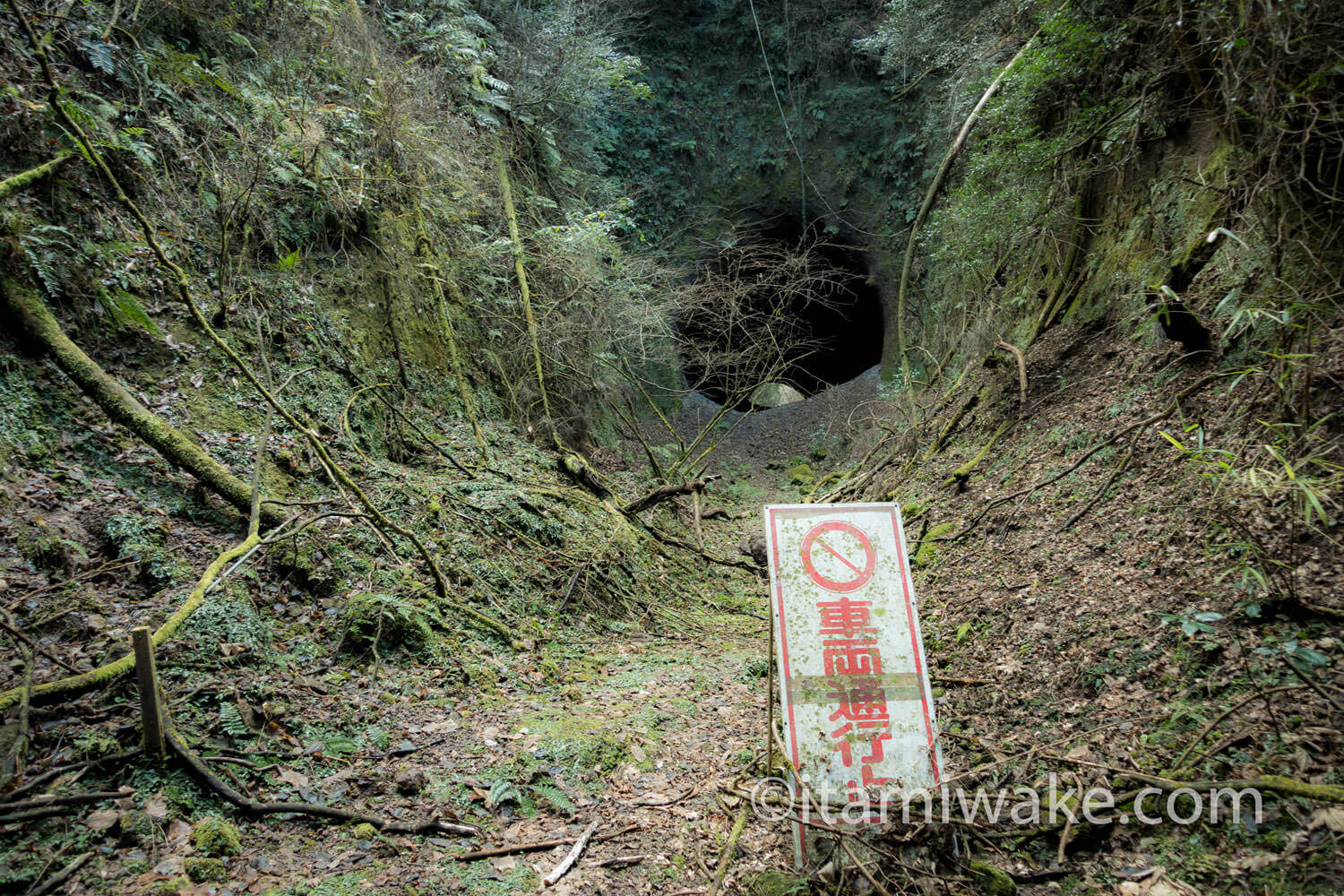 超危険な巨大廃トンネル 大分県の大石隧道で穴にこもる