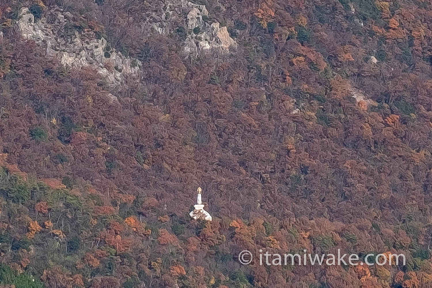 山の中の仏舎利塔