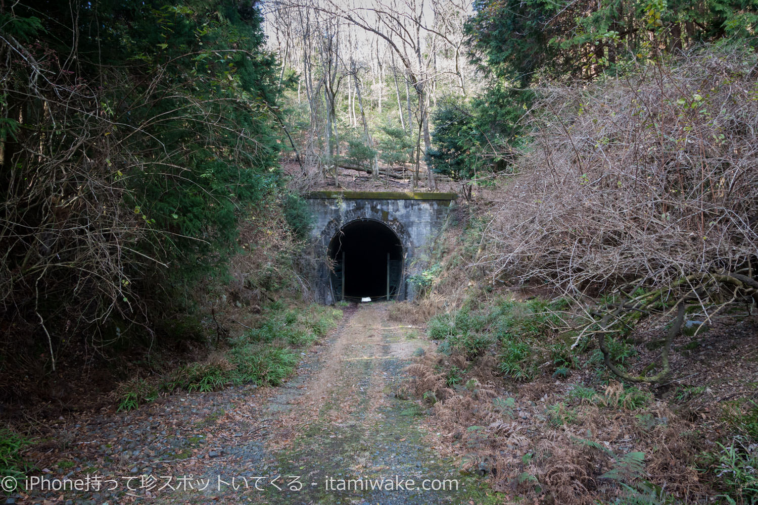 廃トンネル