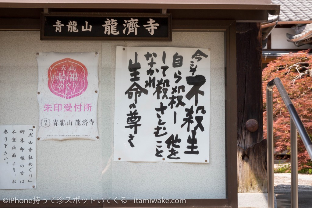 イケてるメンズはiPhone7に格安simのmineo（マイネオ）を挿しているという噂を検証してみた