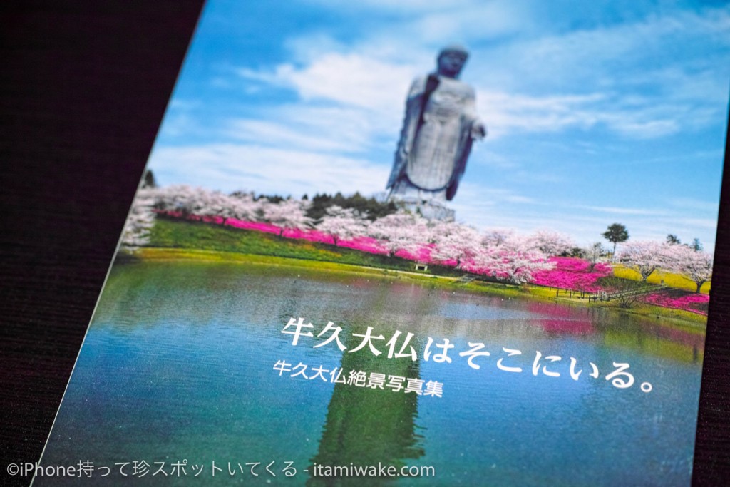 新宿眼科画廊で巨大仏像写真展「夢見る巨大仏」を鑑賞