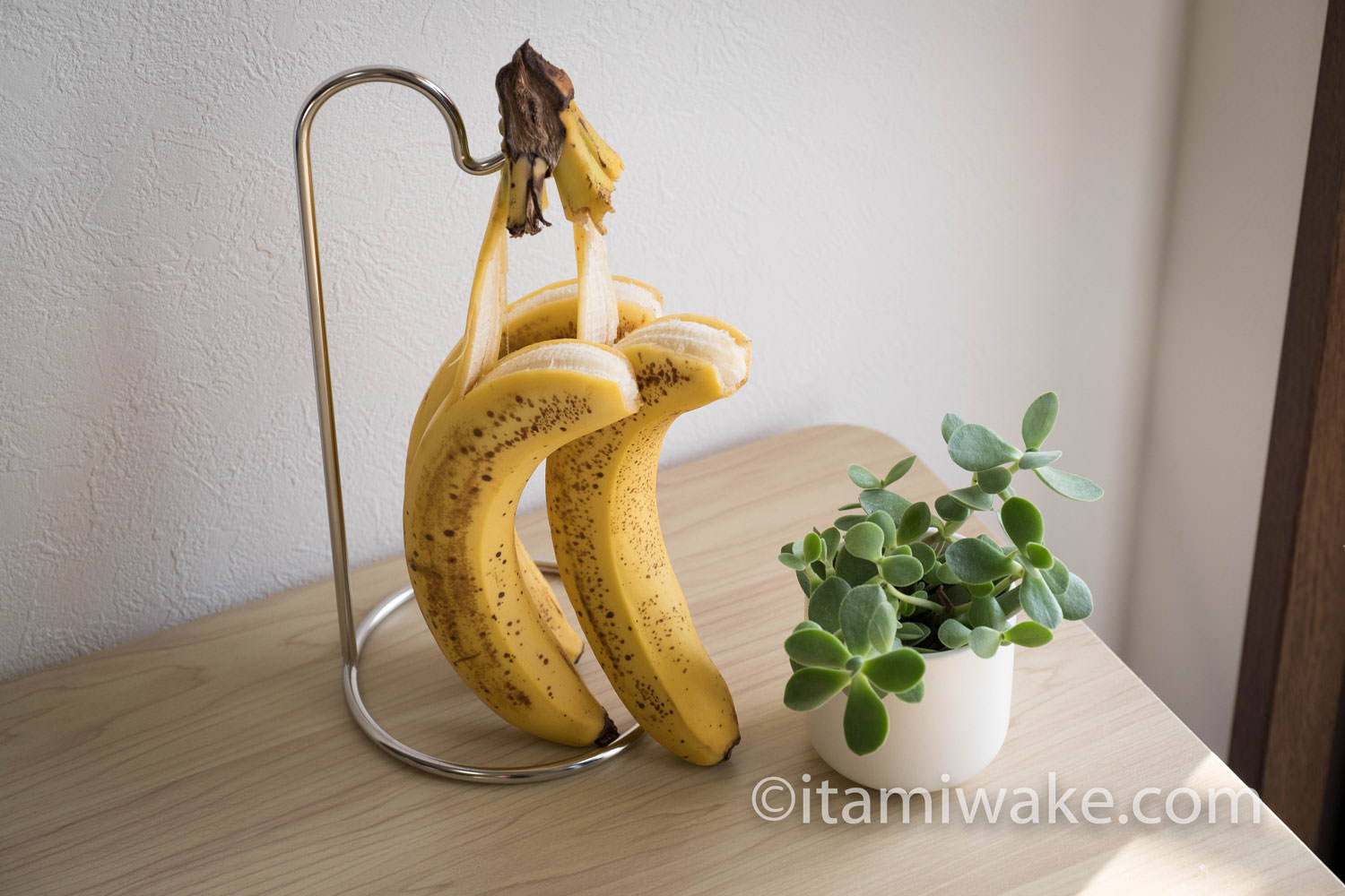吊るされたバナナと卓上植物