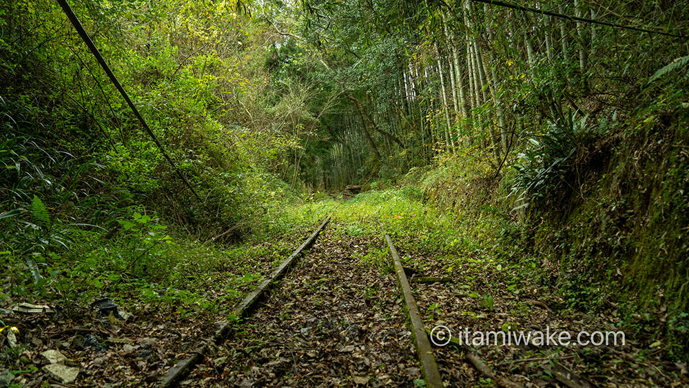 草ボーボーの廃線跡