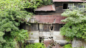 岡山の竜山鉱山跡へ！藪がすごいのでドローンで空から観察