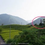 これが岐阜のマチュピチュ！別名「天空の茶畑」は本当に絶景で超絶おすすめ