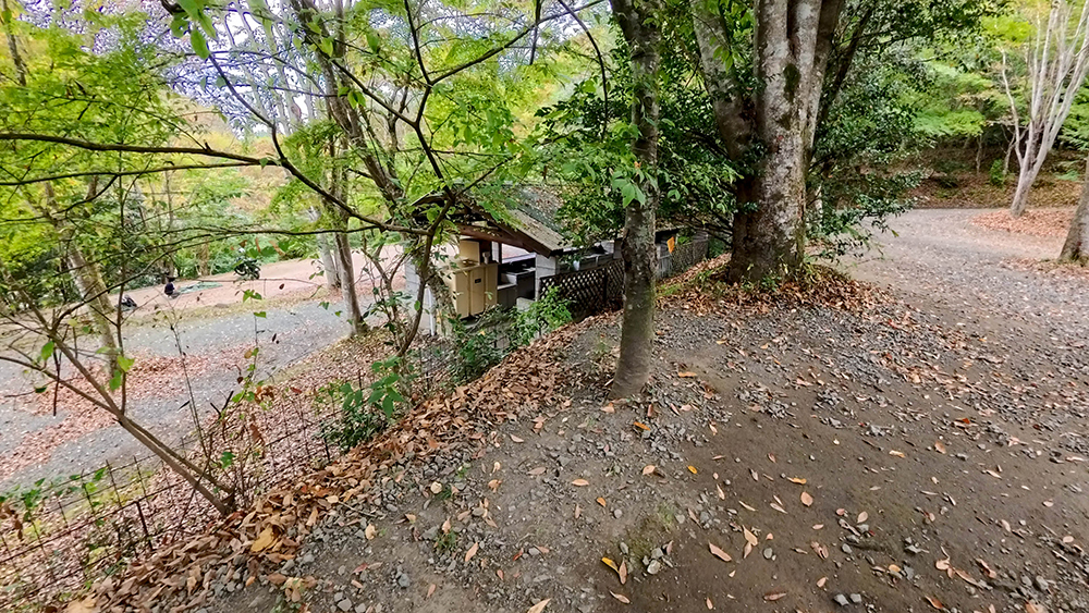 森のキャンプサイト