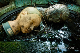 滋賀県の向之倉集落跡へ。山の中の廃墟を探索した日