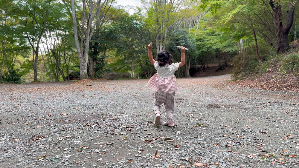 森のキャンプサイトの地面