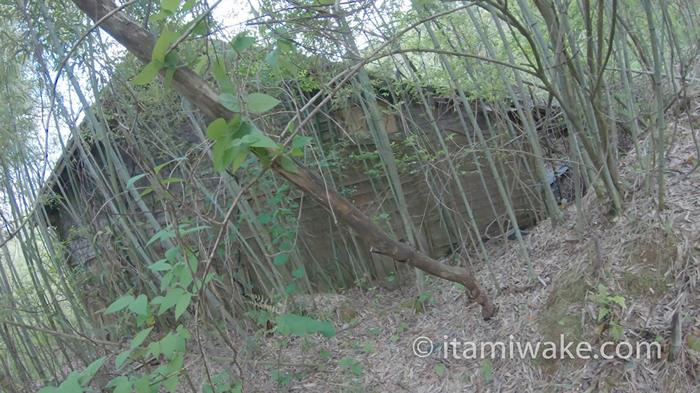 竹藪の中に残る廃屋