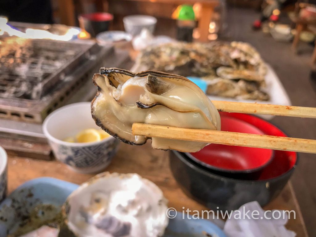 「カキ食べ放題」は最高。三重県鳥羽市の丸善水産