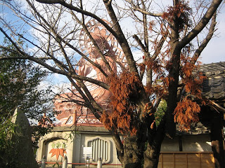 西尾市常福寺の「刈宿の大仏」はミステリースポット？