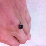 ぐぐっ…！！静まれ！俺の左腕！！身体に寄生する謎の虫との死闘