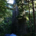 JR飯田線の廃線跡を見る　前編