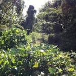 名古屋臨海鉄道南港線＆各社引込線