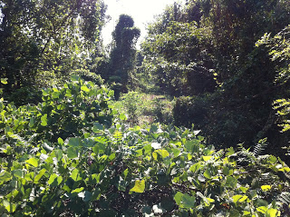 名古屋臨海鉄道南港線＆各社引込線