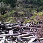 豊橋鉄道田口線！線路跡を辿ってきました