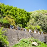 愛岐トンネル群の一般公開に参加してきた！定光寺の廃線と廃墟を味わう