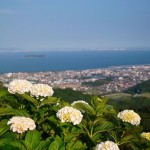 三ヶ根山スカイラインにある「おみやげ屋廃墟」