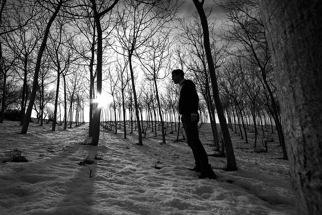 ライフログに最適なカメラアプリを考える！ライフログ大好きな私が選んだ2つのカメラアプリ