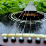 もうiTunesいらないじゃんｗｗｗDropboxやSkyDriveなどのクラウド上にアップした音楽を再生できる神アプリ！