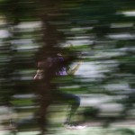 Googleリーダーは"今年の7月まで使用可能"です