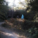 五色園攻略その3！もはや意味がわかりません！赤山明神貴婦人解逅