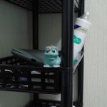 カメラ初心者が”おまかせ撮影”を脱却するために覚えておくこと　～F値～