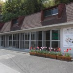 ニワトリの鳴き声を録音してiPhoneのアラームに設定する方法（プレゼント有り）