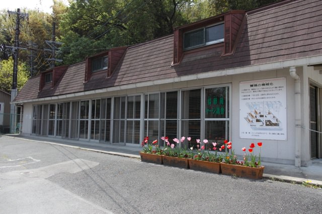 ニワトリの鳴き声を録音してiPhoneのアラームに設定する方法（プレゼント有り）