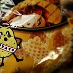 たった580円でSDカード内の写真をiPadに取り込めるコネクタを買いました