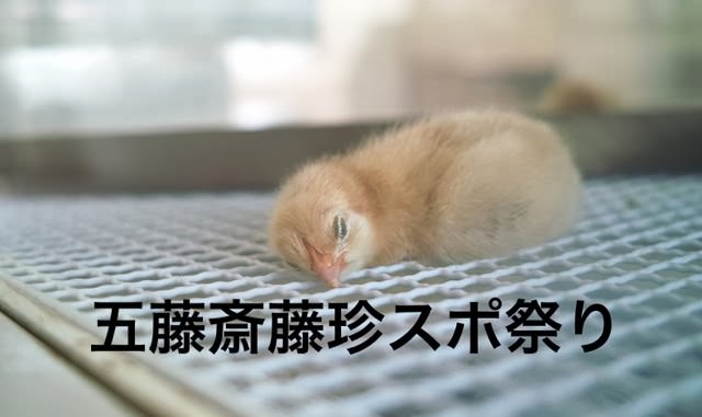 『五藤斎藤珍スポ祭り』無事終了しました！珍スポットにまみれた3時間はいかがでした？