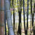 2014年買って良かったものまとめ