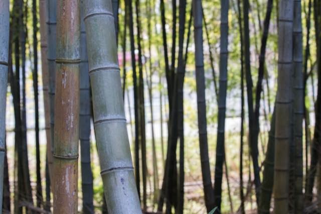 2014年買って良かったものまとめ