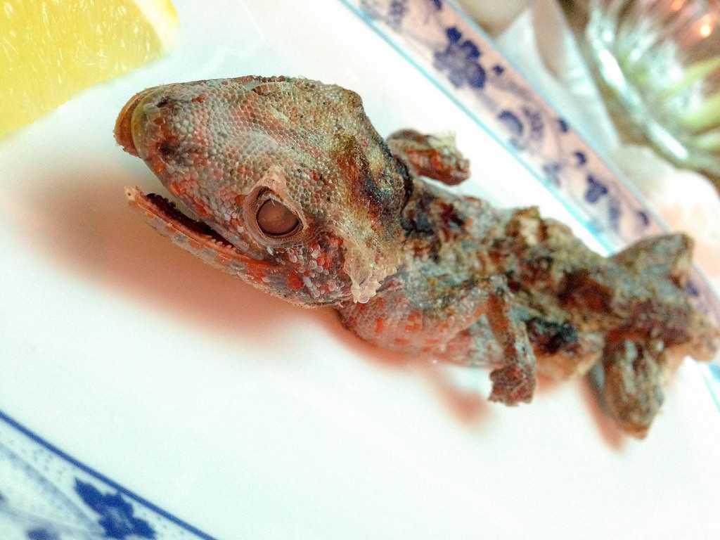 昆虫食時代到来！愛知県豊橋市の『あじあん居酒屋 善』でコオロギ・オケラ・鹿の肉などを食べたよ！