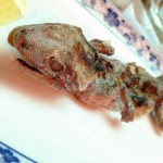 昆虫食時代到来！愛知県豊橋市の『あじあん居酒屋 善』でコオロギ・オケラ・鹿の肉などを食べたよ！