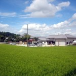 奈良観光の隠れ名所！奈良の大仏より150歳年上！？日本最古の大仏『飛鳥大仏』が存在する『飛鳥寺』