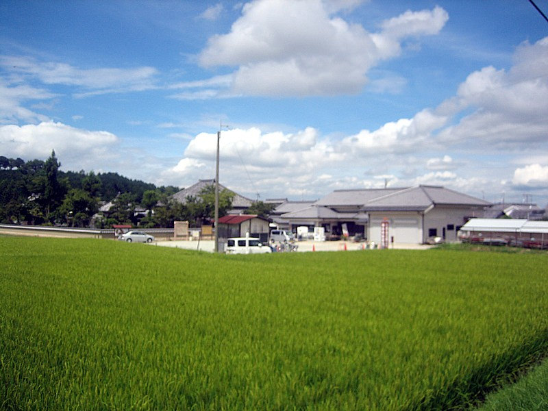 奈良観光の隠れ名所！奈良の大仏より150歳年上！？日本最古の大仏『飛鳥大仏』が存在する『飛鳥寺』