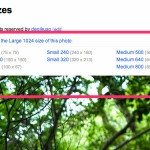 UI変更してわからなくなったあの機能。Flickrで写真の表示サイズを変更してオリジナルサイズでを見る方法