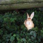 このブログが面白い5つの理由