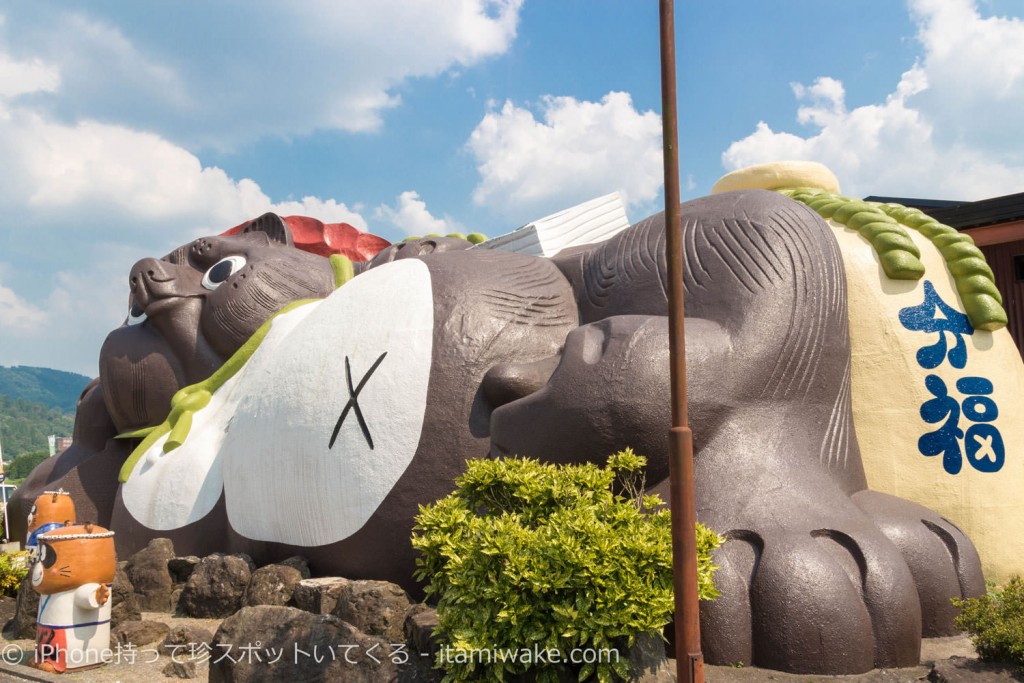 信楽のおすすめ観光スポット！巨大たぬきの内部でグルメと足湯が楽しめる狸家分福