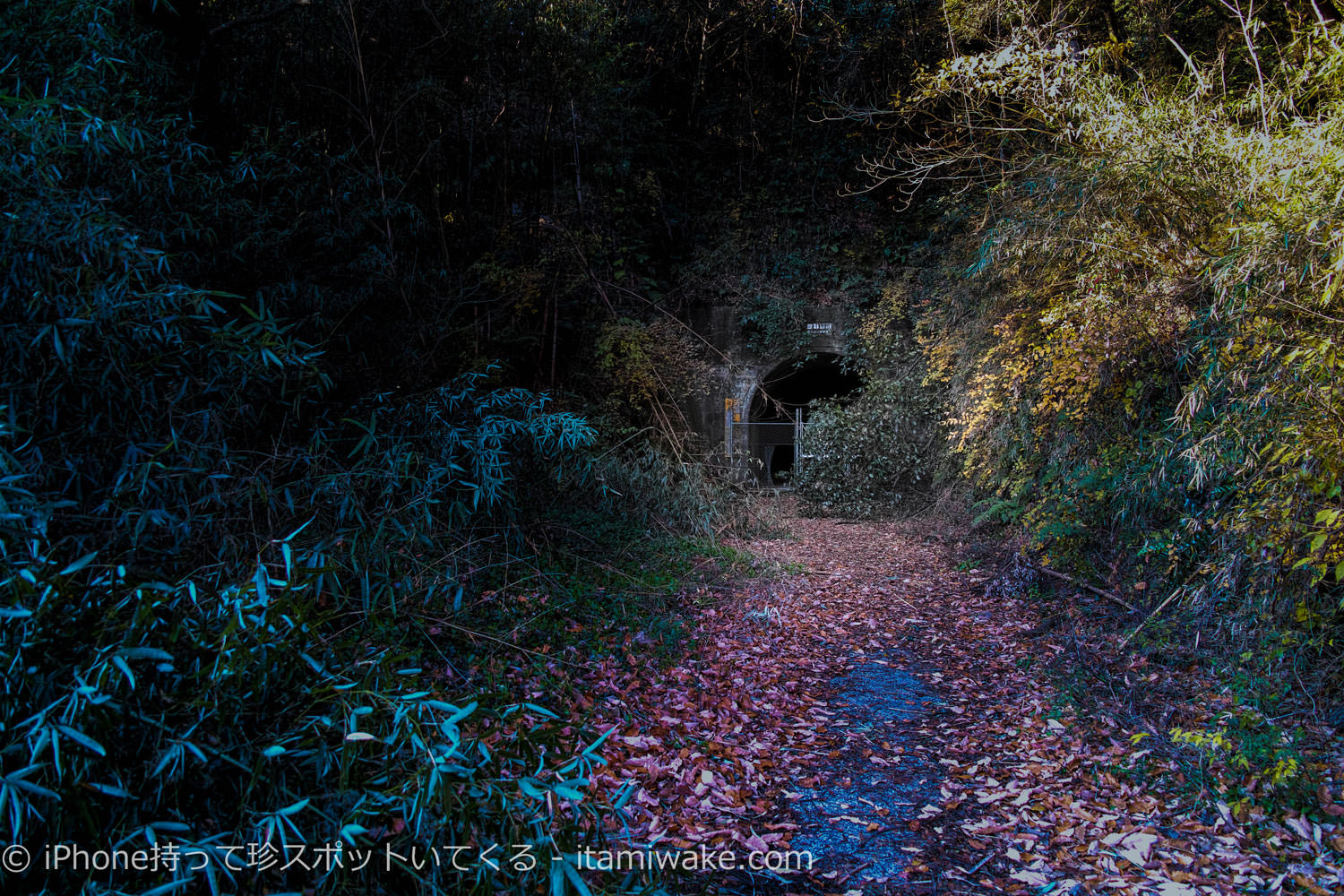 心霊スポット？東京湾観音の近くにある廃トンネル「観音隧道」での心霊体験