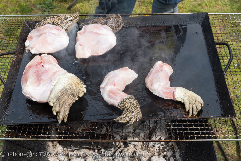 【閲覧注意】ワニ、うさぎ、ラクダの肉はどんな味？珍肉バーベキューで食べてきた #珍肉BBQ